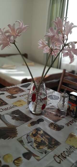 Гостевой дом Звёздный Одесса Улучшенный четырехместный номер-3