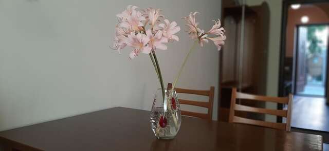 Гостевой дом Звёздный Одесса-14