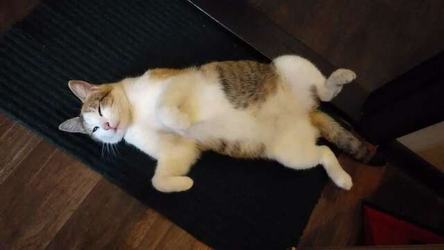 Гостевой дом Звёздный Одесса-8